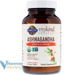 Ashwagandha bio pour soulager le stress et améliorer l'humeur 60 comprimés