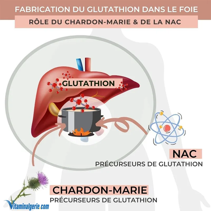 glutathione ultra Glutathion + NAC 400mg 90 Gélules Chardon Marie Bio
